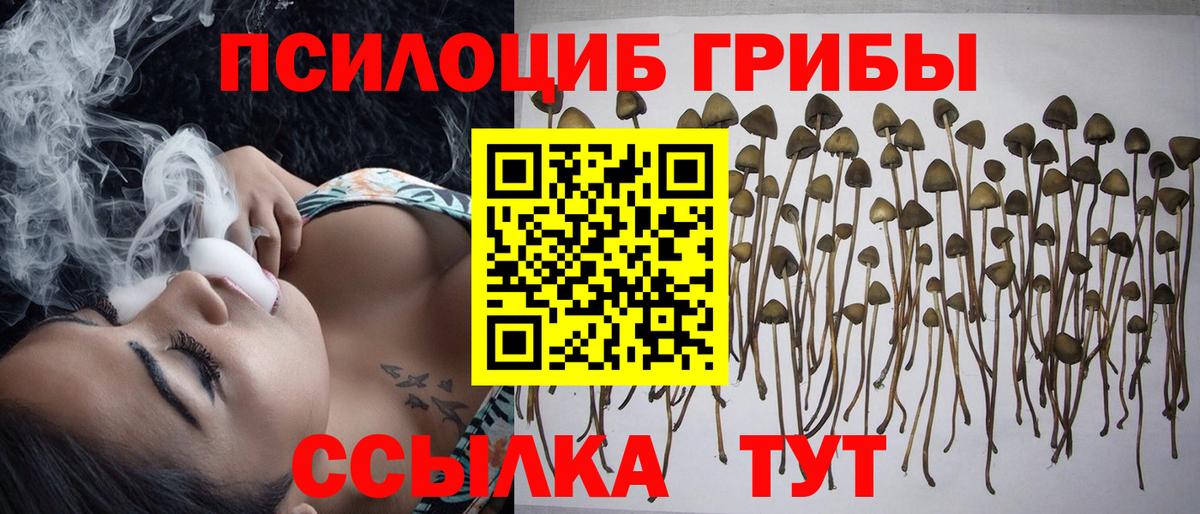 Псилоцибиновые грибы мицелий Усть-Джегута