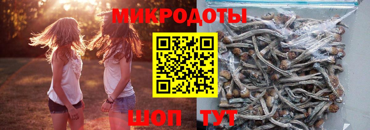 Галлюциногенные грибы мухоморы  Псилоцибиновые грибы MAGIC MUSHROOMS  Усть-Джегута  Вход с VPN 